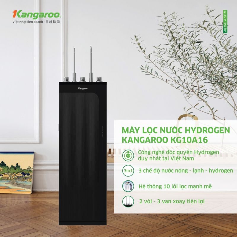 Máy lọc nước nóng lạnh Hydrogen Kangaroo KG10A16